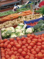 �T���v���P