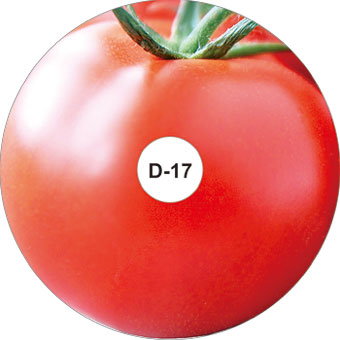 素材_野菜トマト