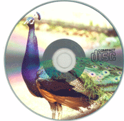 �t���J���[�^�V���o�[���f�B�A