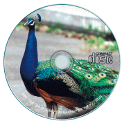 �t���J���[�^�z���C�g���f�B�A