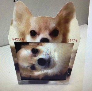 Cut2016_1206_1858_42