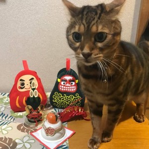 Cut2017_0105_1023_58