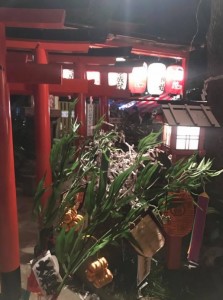 Cut2017_0111_1845_46