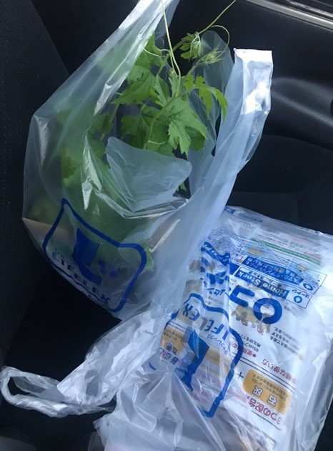 Cut2017_0630_1748_40