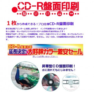 Cut2019_0906_0947_41