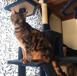 Cut2019_1001_0940_28