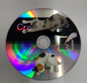 Cut2020_0609_1523_56