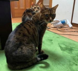 Cut2021_0305_0916_50